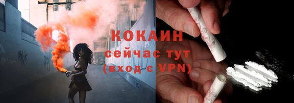 дмт Лиски