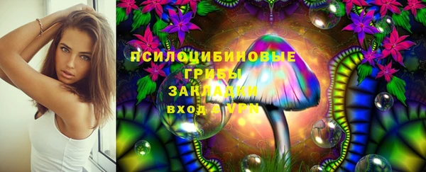 соль ск Абдулино